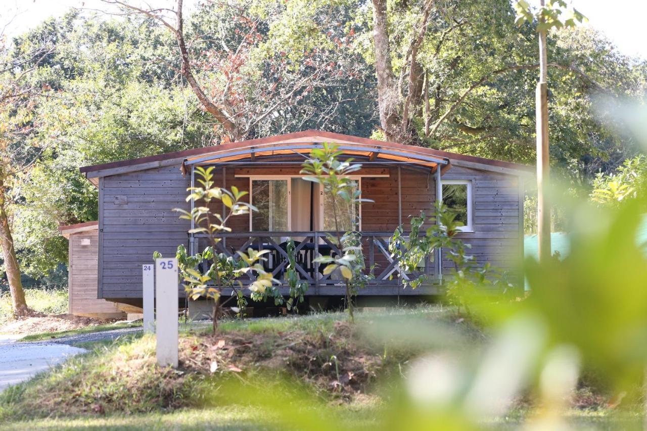 Camping Le Ruisseau Saint-André-de-Seignaux エクステリア 写真