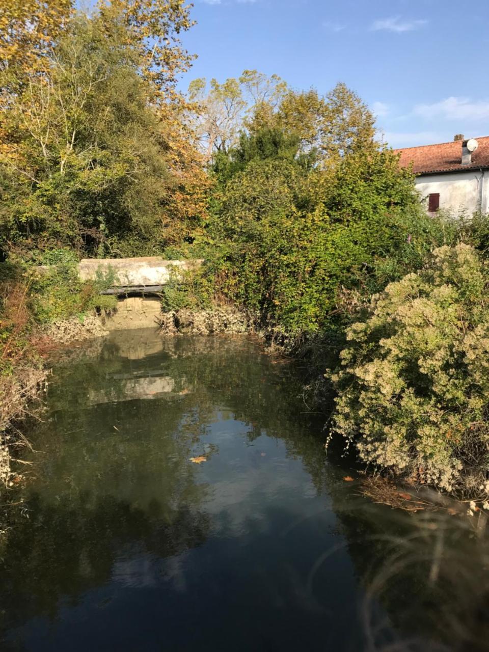 Camping Le Ruisseau Saint-André-de-Seignaux エクステリア 写真